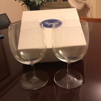 Calici degustazione giganti