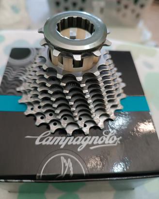 Pacco pignone campagnolo 
