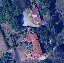 Appartamento - Collesalvetti