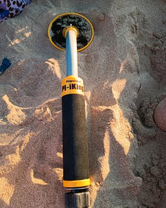 metaldetector subacqueo 