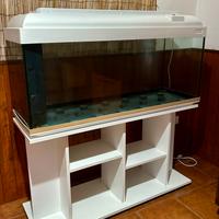 Acquario 300 litri con mobile