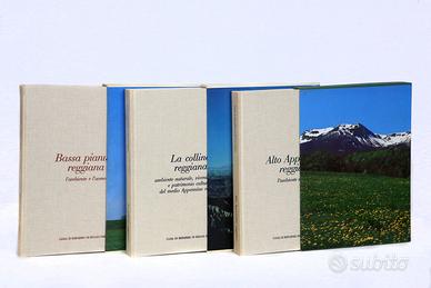 Volumi in cofanetto su Reggio Emilia del 1987