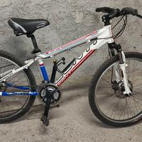 Bicicletta mountain bike