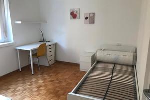 Singola in centro, solo universitari