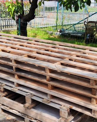 pallet - bancali  300x120