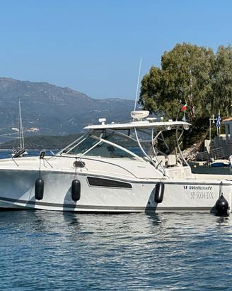 Fisherman Wellcraft coastal 360