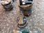Immagine 2