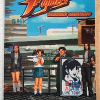 Book videogame THE KING OF FIGHTERS ARCADE HISTORY