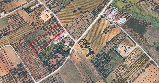 Terreno agricolo a Partinico, Contrada Turrisi