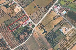 Terreno agricolo a Partinico, Contrada Turrisi