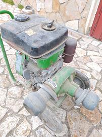 POMPA PER TIRARE ACQUA LOMBARDINI 1-IM 300