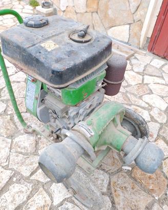 POMPA PER TIRARE ACQUA LOMBARDINI 1-IM 300
