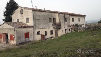 Ampia casa con annessi e terreni