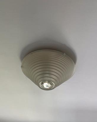 Artemide egina