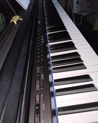 Piano musicale