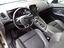 Immagine 7