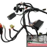 Cablaggio anteriore destro Ducati 996 1999-2001