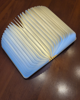 Lampada LED ricaricabile