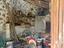 Immagine 15