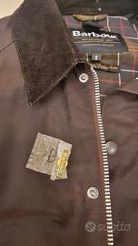 Barbour uomo