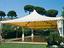 Immagine 10