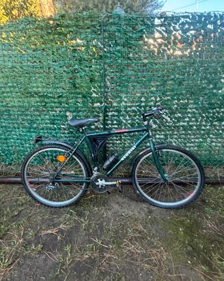 Bicicletta 28’