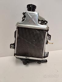 RADIATORE HONDA SH125/150 PCX125/150