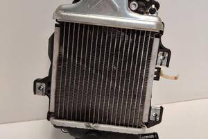 RADIATORE HONDA SH125/150 PCX125/150