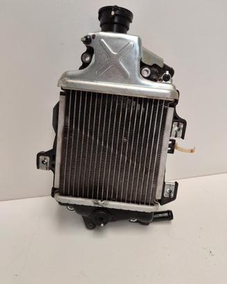 RADIATORE HONDA SH125/150 PCX125/150