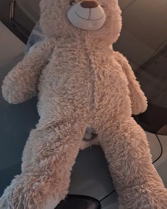 peluche orso