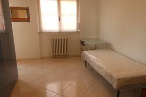 2 camere singole 315euro Torino Mirafiori