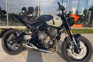 TRIUMPH Trident 660 Stone Gray