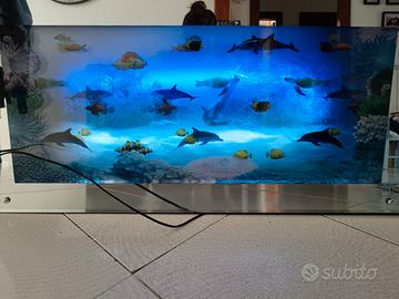 acquario digitale