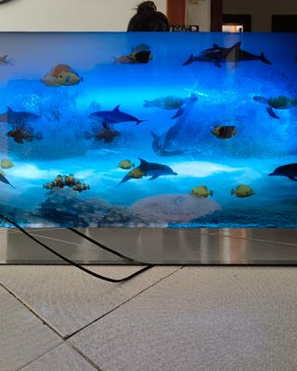 acquario digitale