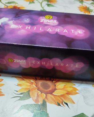 zumba fitness 