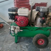 Compressore e abbacchiatore pneumatico