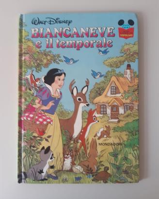 Libro "Biancaneve e il temporale"- Disney