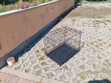 kennel cani piccola taglia
