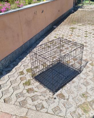 kennel cani piccola taglia