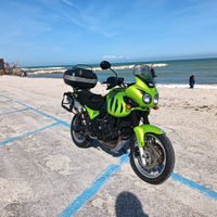 TRIUMPH TIGER 955i