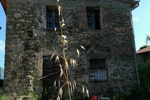 Rustico con terreno A4