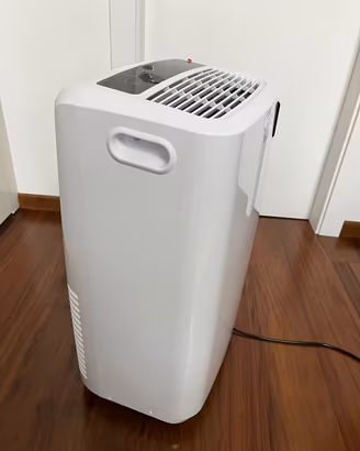 Climatizzatore portatile De’Longhi Pinguino