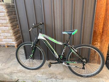 Bicicletta Usata