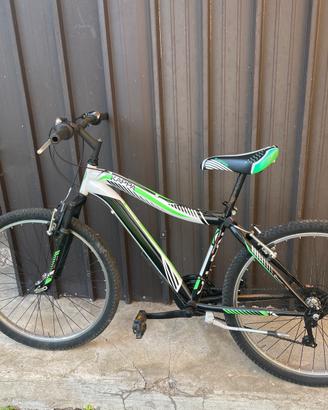 Bicicletta Usata