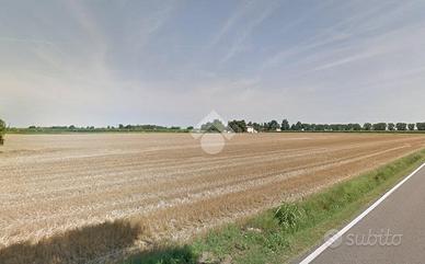 TER. AGRICOLO A IMOLA