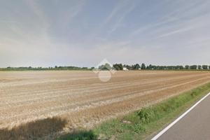 TER. AGRICOLO A IMOLA