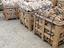Immagine 12