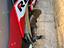 Immagine 2