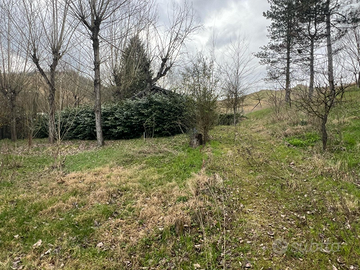 Terreno agricolo con magazzino