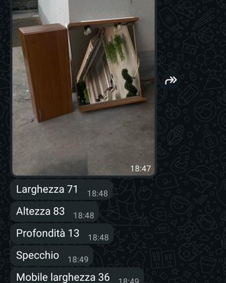 Specchio da bagno euro 50 trattab. 